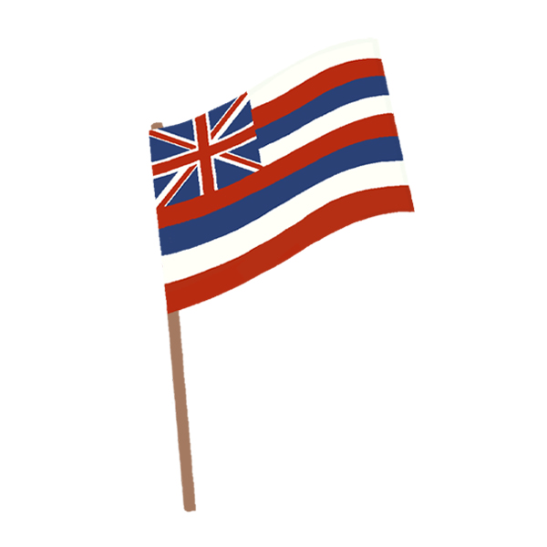 This is an illustration of the Hawaiian flag.