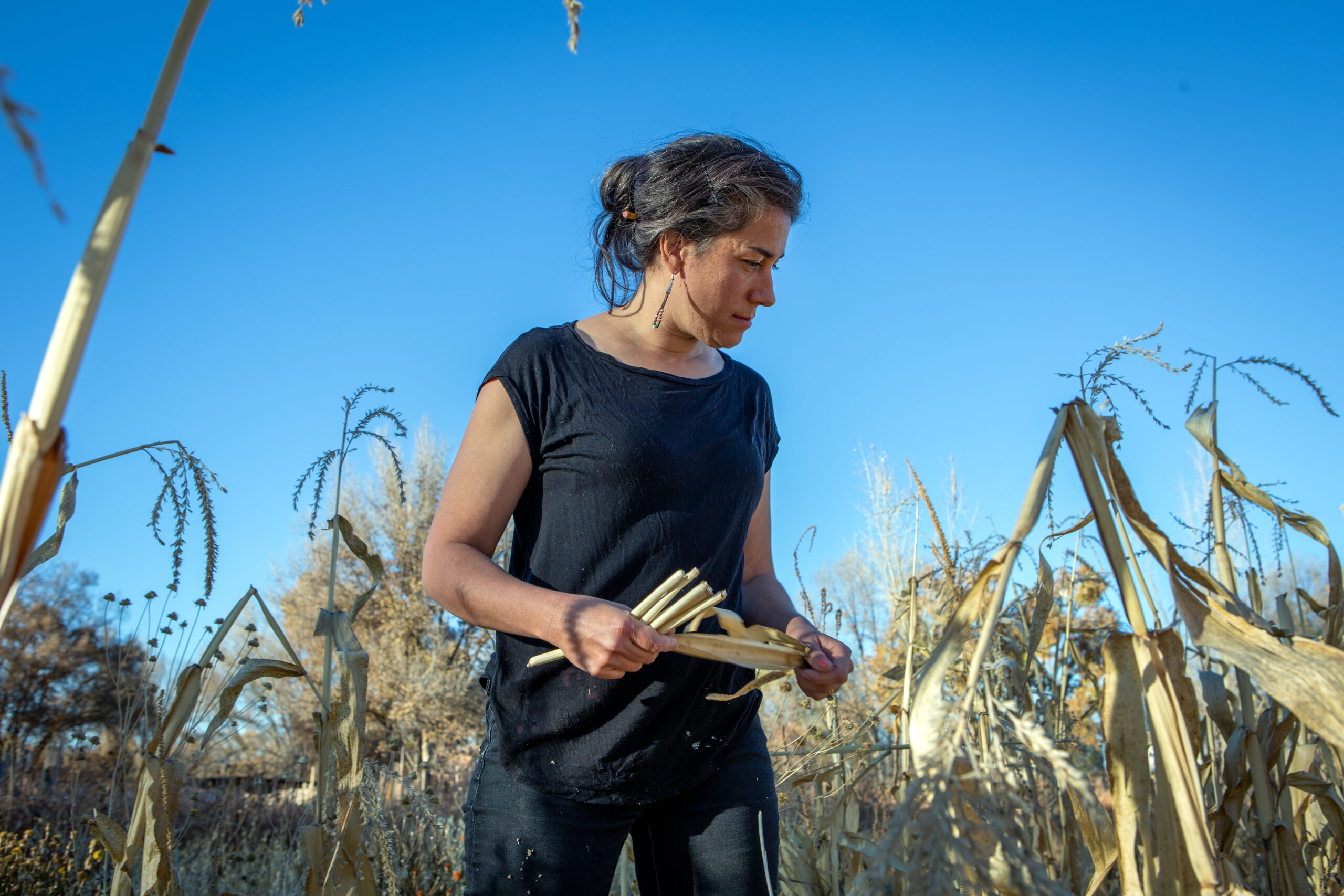 A woman wearing a black top and black jeans stands in a field holding corn stock in her hands.
